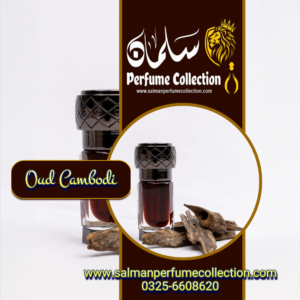 Oud Cambodi